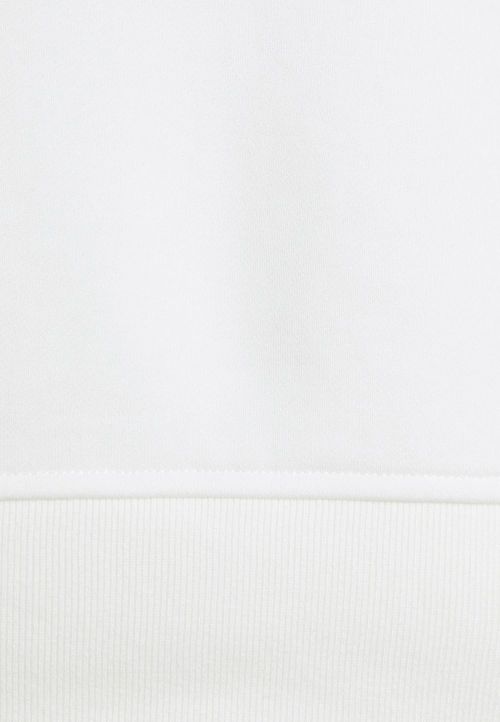 DRYKORN FLORENZ - Sweatshirt Prix Légers vêtements col rond homme 5 DRYKORN FLORENZ - Sweatshirt Prix Légers vêtements col rond homme – Image 3